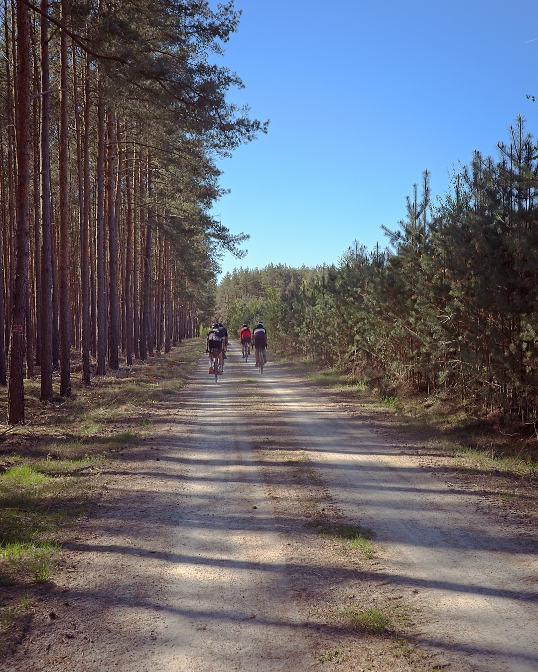 BBT – Community Edition